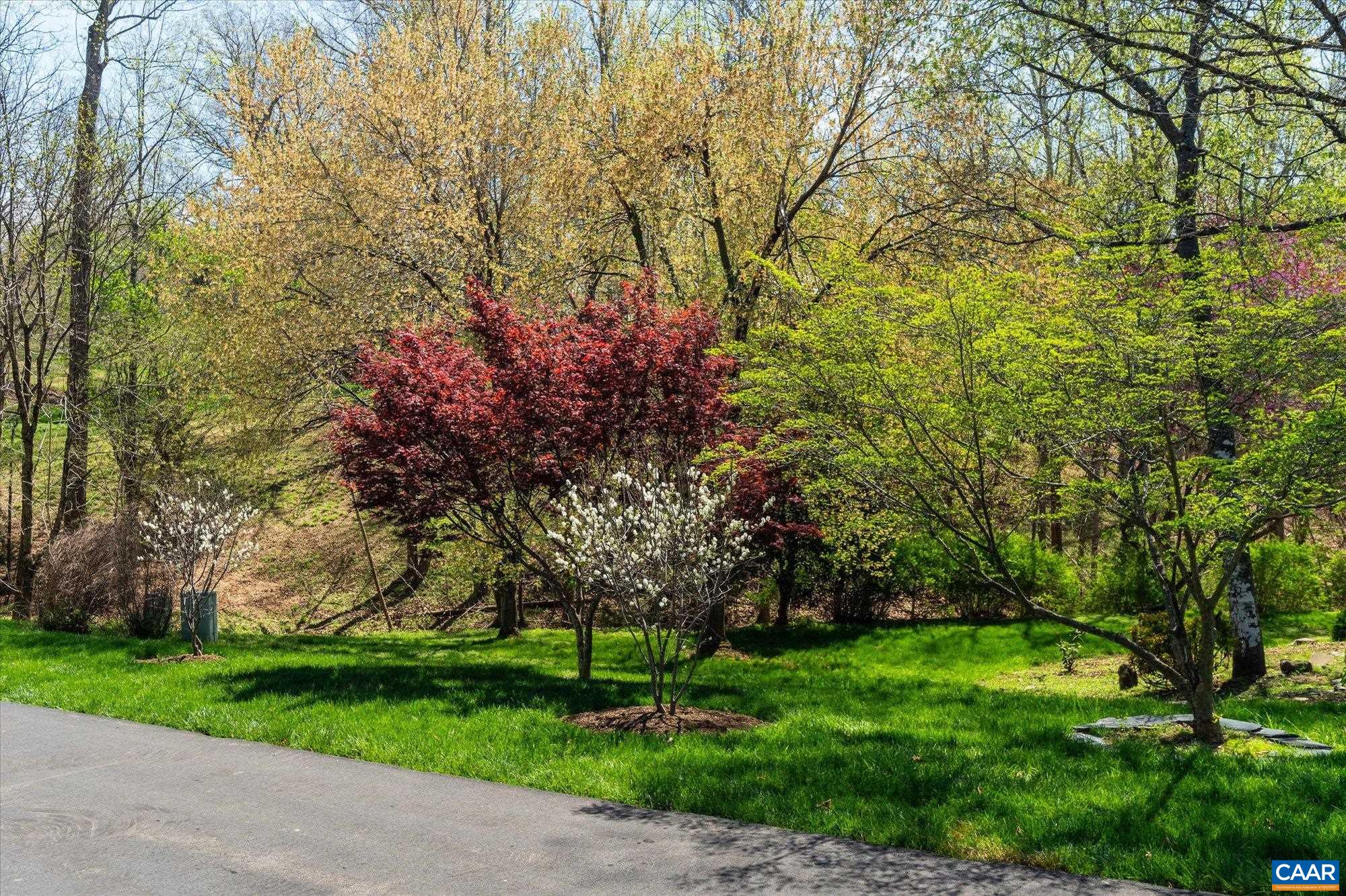 3255 AVEBURY LN, KESWICK, Virginia 22947, 5 Bedrooms Bedrooms, ,3 BathroomsBathrooms,Residential,3255 AVEBURY LN,675547 MLS # 675547