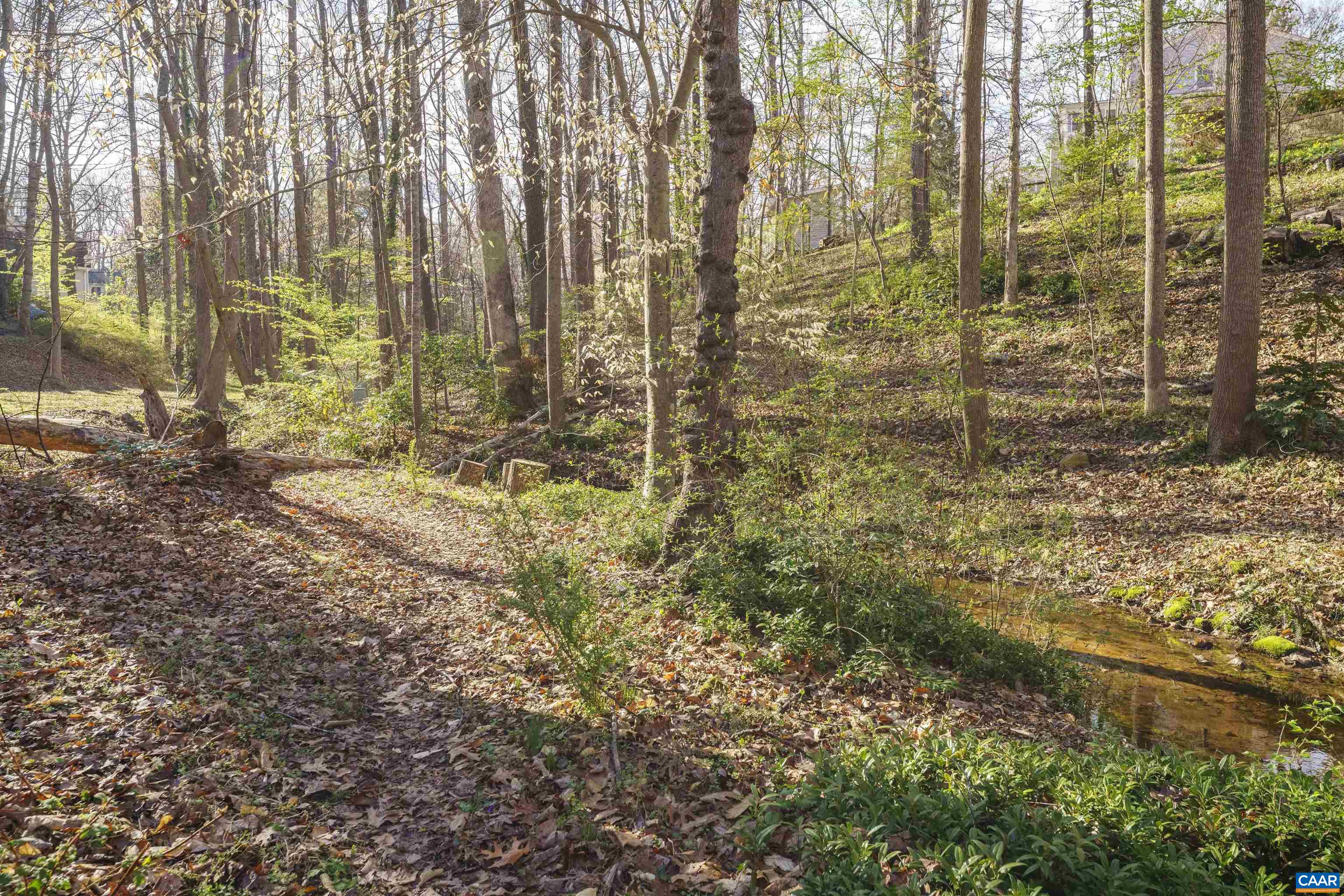 104 SMITHFIELD CT, CHARLOTTESVILLE, Virginia 22901, 5 Bedrooms Bedrooms, ,3 BathroomsBathrooms,Residential,104 SMITHFIELD CT,675548 MLS # 675548 104 SMITHFIELD CT, CHARLOTTESVILLE, Virginia 22901, 5 Bedrooms Bedrooms, ,3 BathroomsBathrooms,Residential,104 SMITHFIELD CT,675548 MLS # 675548