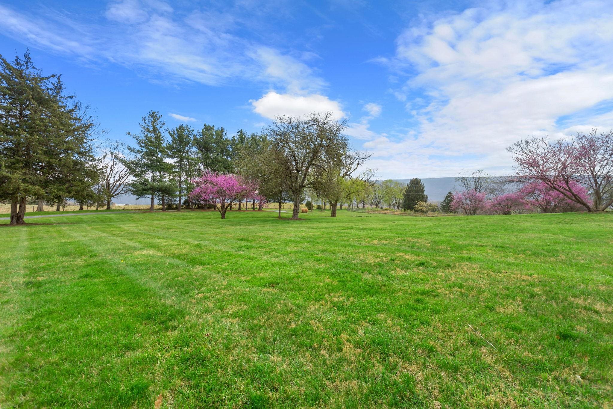 549 ARROWHEAD LN, NEW MARKET, Virginia 22844, 3 Bedrooms Bedrooms, ,1 BathroomBathrooms,Residential,549 ARROWHEAD LN,675553 MLS # 675553