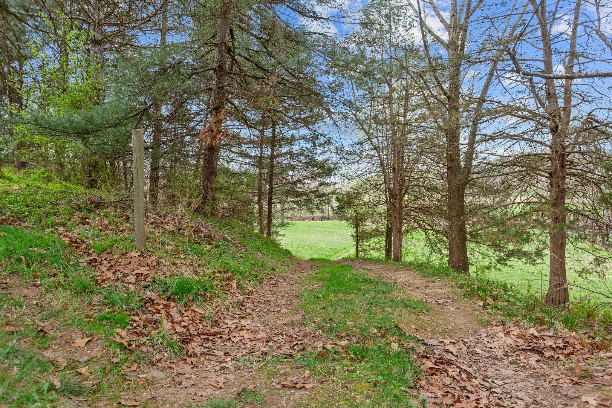 549 ARROWHEAD LN, NEW MARKET, Virginia 22844, 3 Bedrooms Bedrooms, ,1 BathroomBathrooms,Residential,549 ARROWHEAD LN,675553 MLS # 675553