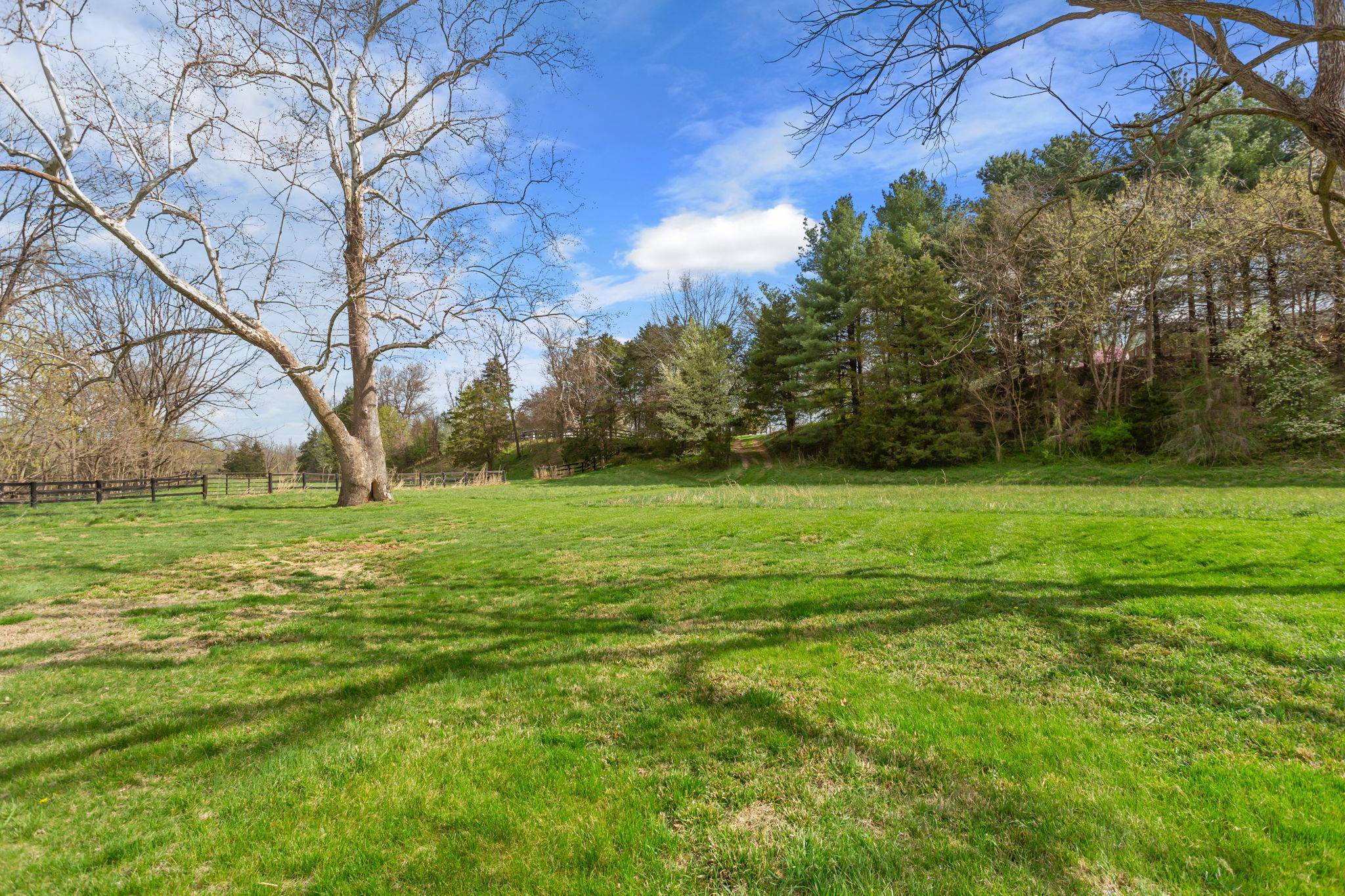 below the house near the creek.