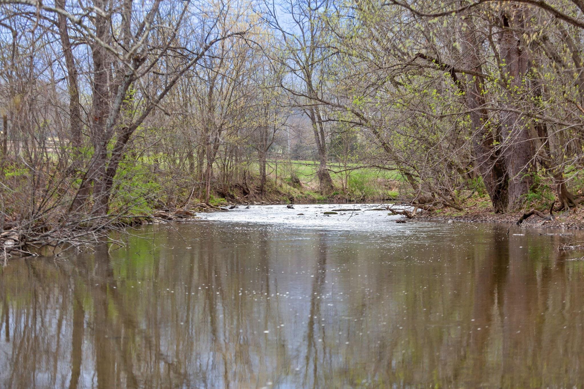 549 ARROWHEAD LN, NEW MARKET, Virginia 22844, 3 Bedrooms Bedrooms, ,1 BathroomBathrooms,Residential,549 ARROWHEAD LN,675553 MLS # 675553