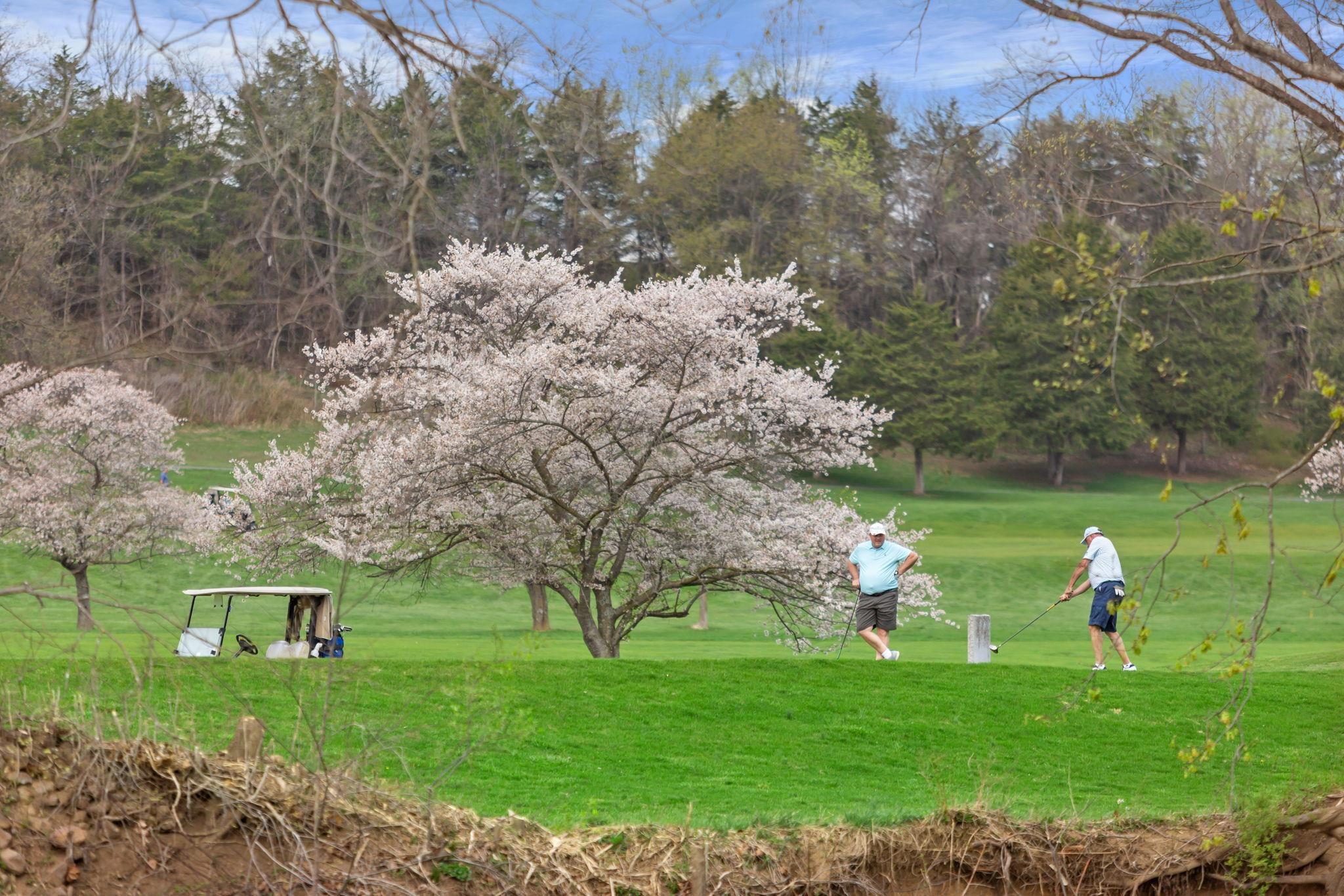 549 ARROWHEAD LN, NEW MARKET, Virginia 22844, 3 Bedrooms Bedrooms, ,1 BathroomBathrooms,Residential,549 ARROWHEAD LN,675553 MLS # 675553