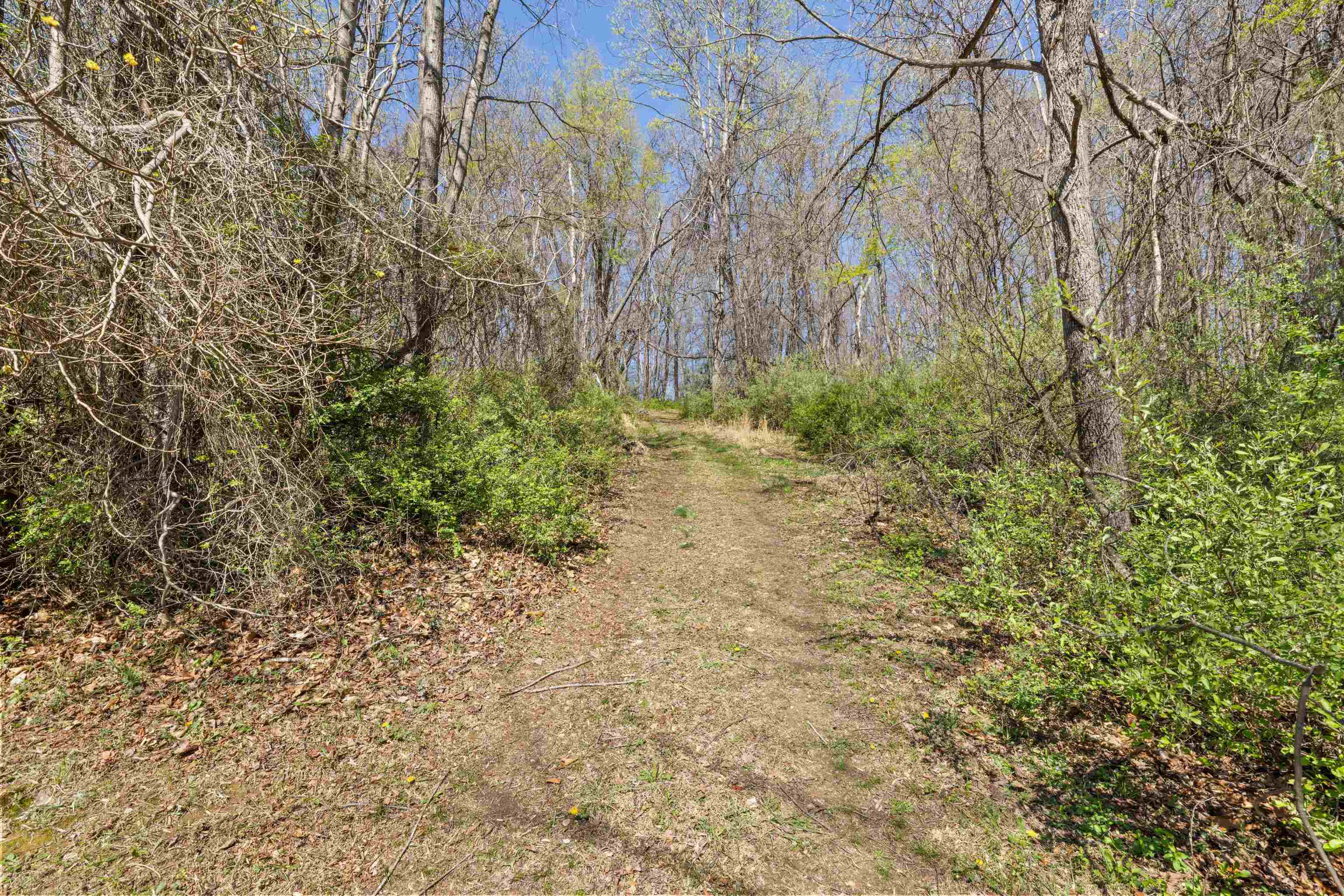 115 SPRING CROSSING LN, STEELES TAVERN, Virginia 24476, 3 Bedrooms Bedrooms, ,2 BathroomsBathrooms,Residential,115 SPRING CROSSING LN,675560 MLS # 675560