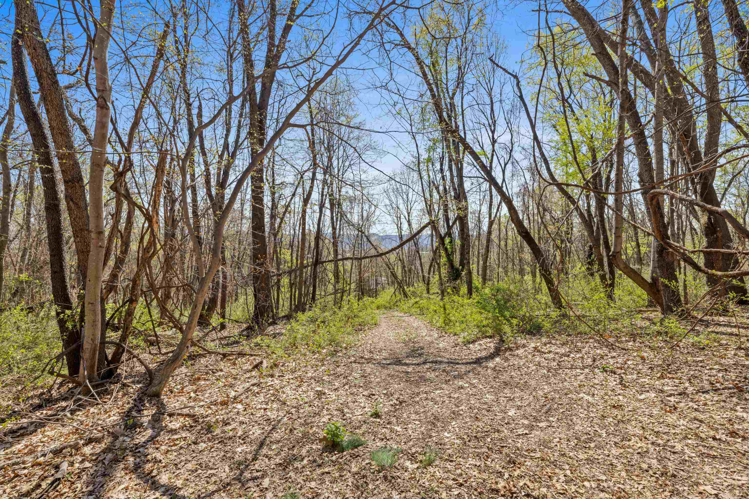 115 SPRING CROSSING LN, STEELES TAVERN, Virginia 24476, 3 Bedrooms Bedrooms, ,2 BathroomsBathrooms,Residential,115 SPRING CROSSING LN,675560 MLS # 675560