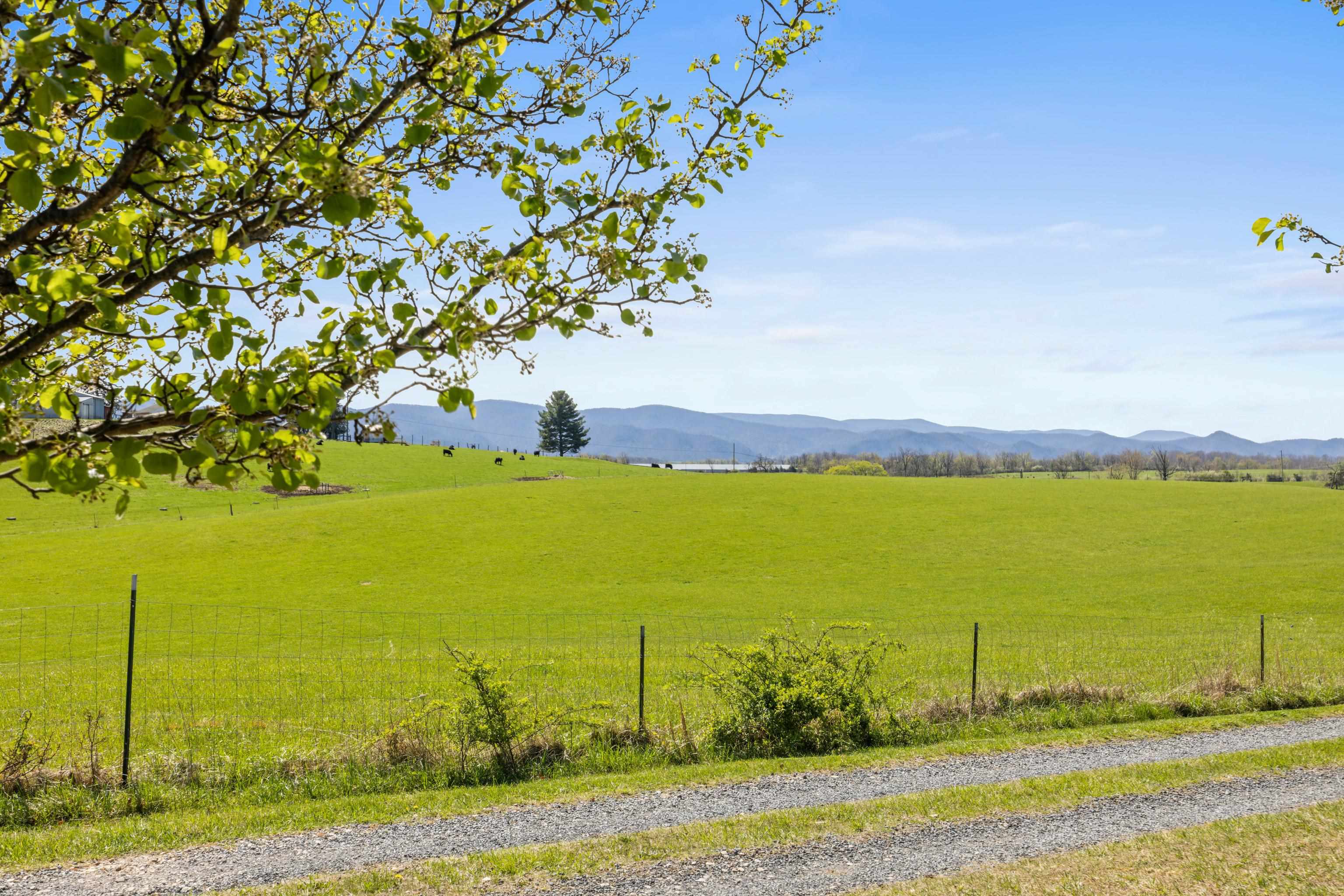 115 SPRING CROSSING LN, STEELES TAVERN, Virginia 24476, 3 Bedrooms Bedrooms, ,2 BathroomsBathrooms,Residential,115 SPRING CROSSING LN,675560 MLS # 675560