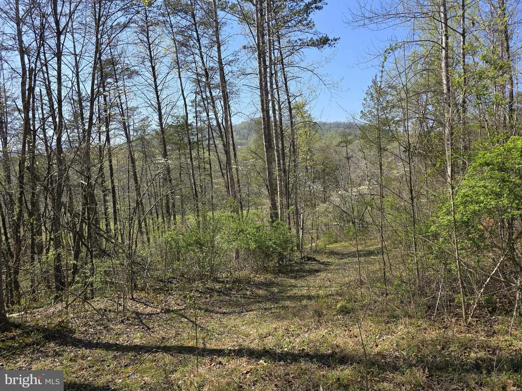S FT VALLEY RD, MADISON, Virginia 22727, ,Land,S FT VALLEY RD,VAMA2002686 MLS # VAMA2002686