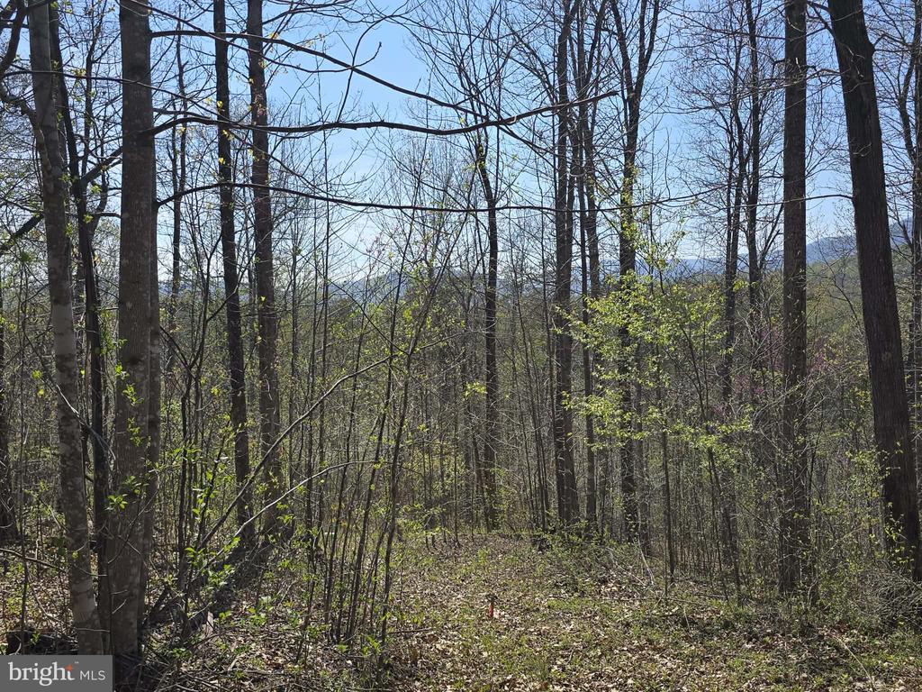 S FT VALLEY RD, MADISON, Virginia 22727, ,Land,S FT VALLEY RD,VAMA2002686 MLS # VAMA2002686