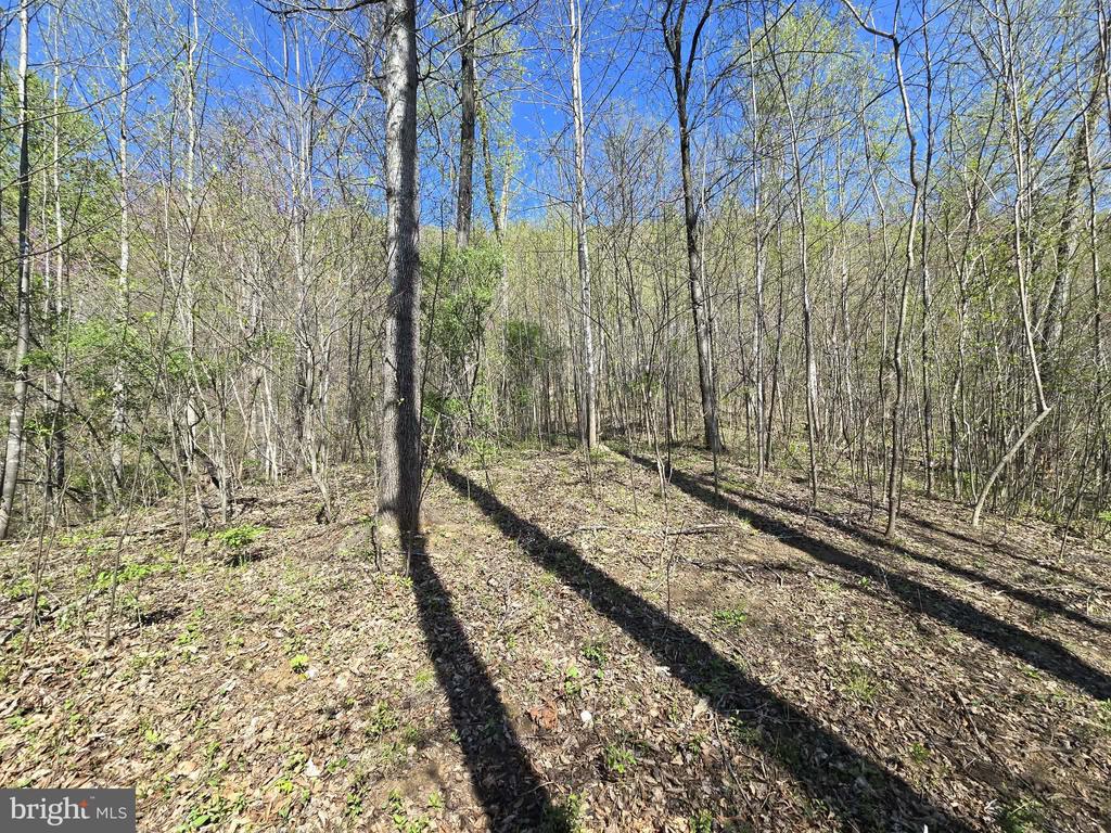 S FT VALLEY RD, MADISON, Virginia 22727, ,Land,S FT VALLEY RD,VAMA2002686 MLS # VAMA2002686