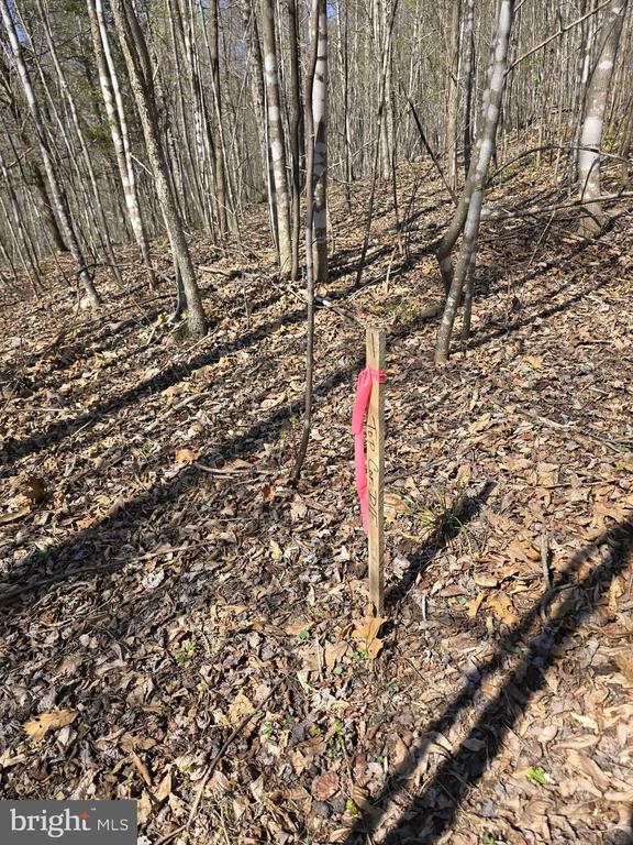 S FT VALLEY RD, MADISON, Virginia 22727, ,Land,S FT VALLEY RD,VAMA2002686 MLS # VAMA2002686