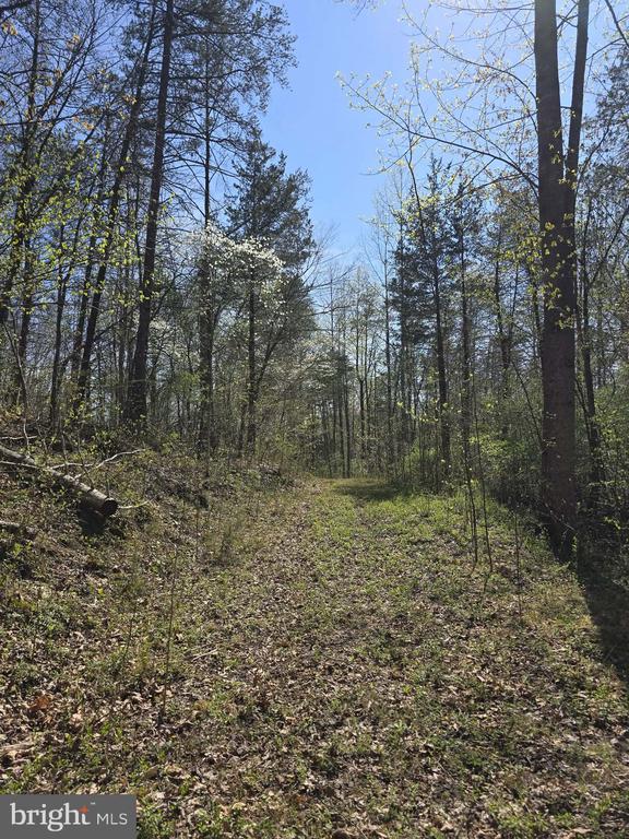 S FT VALLEY RD, MADISON, Virginia 22727, ,Land,S FT VALLEY RD,VAMA2002686 MLS # VAMA2002686