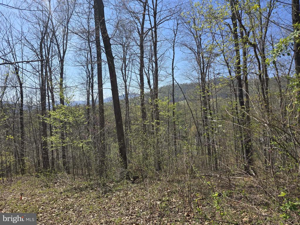 S FT VALLEY RD, MADISON, Virginia 22727, ,Land,S FT VALLEY RD,VAMA2002686 MLS # VAMA2002686