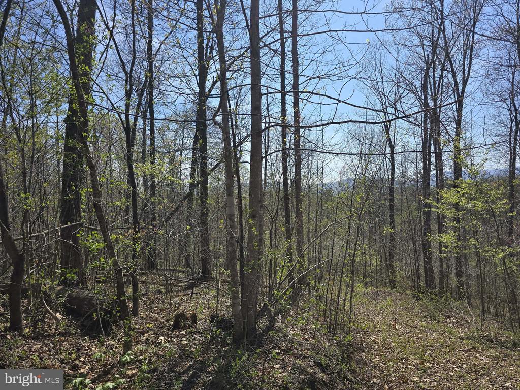 S FT VALLEY RD, MADISON, Virginia 22727, ,Land,S FT VALLEY RD,VAMA2002686 MLS # VAMA2002686