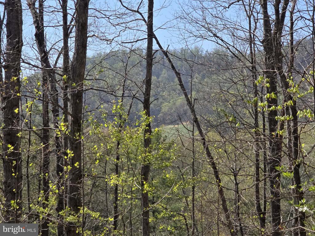 S FT VALLEY RD, MADISON, Virginia 22727, ,Land,S FT VALLEY RD,VAMA2002686 MLS # VAMA2002686