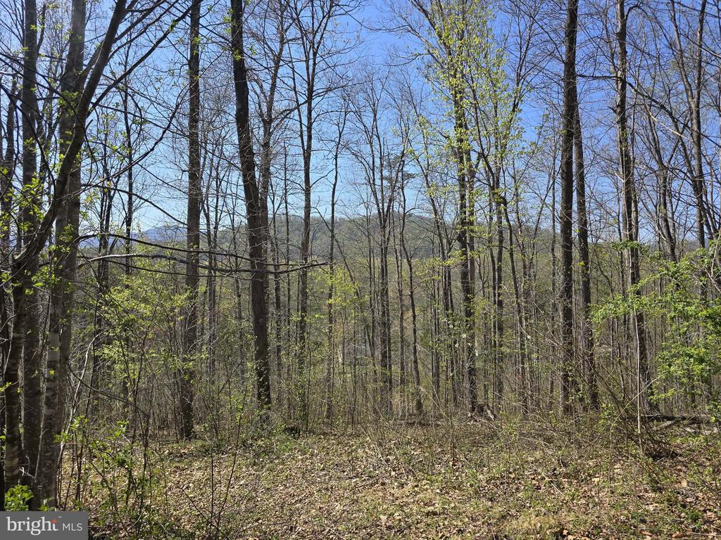 S FT VALLEY RD, MADISON, Virginia 22727, ,Land,S FT VALLEY RD,VAMA2002686 MLS # VAMA2002686
