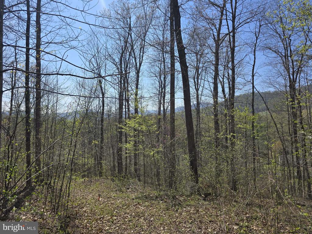 S FT VALLEY RD, MADISON, Virginia 22727, ,Land,S FT VALLEY RD,VAMA2002686 MLS # VAMA2002686