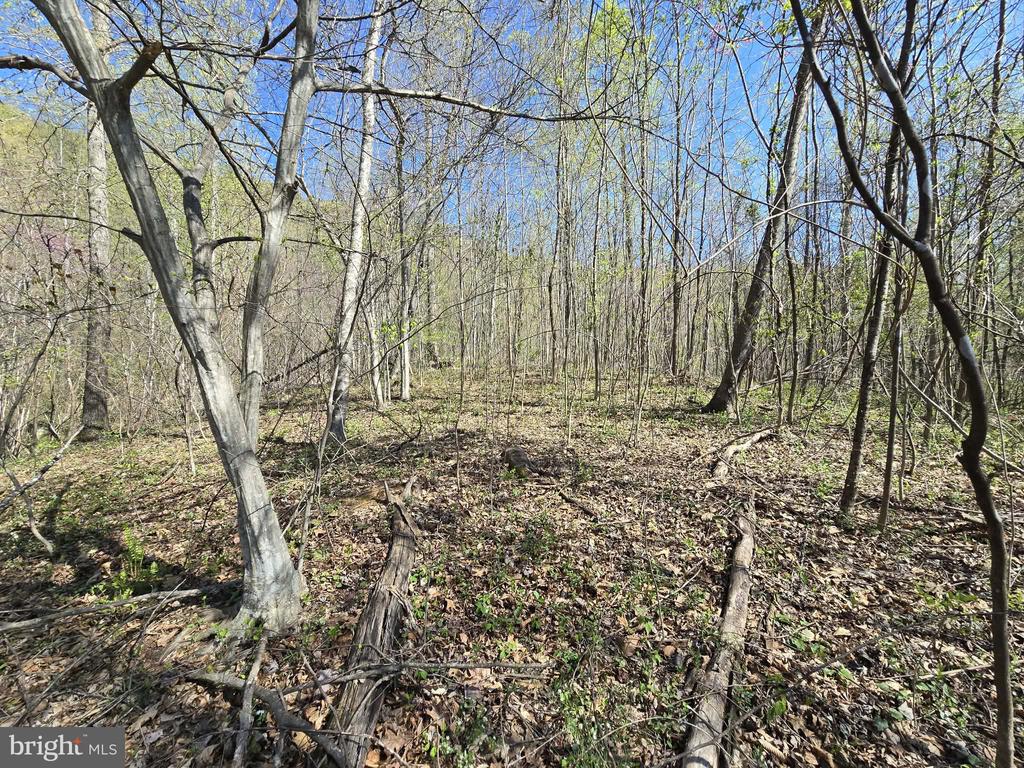 S FT VALLEY RD, MADISON, Virginia 22727, ,Land,S FT VALLEY RD,VAMA2002686 MLS # VAMA2002686