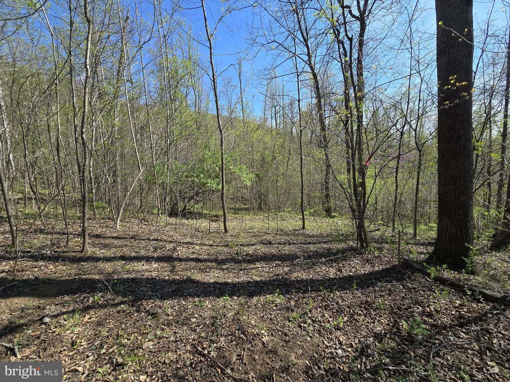 S FT VALLEY RD, MADISON, Virginia 22727, ,Land,S FT VALLEY RD,VAMA2002686 MLS # VAMA2002686