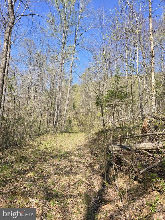 S FT VALLEY RD, MADISON, Virginia 22727, ,Land,S FT VALLEY RD,VAMA2002688 MLS # VAMA2002688