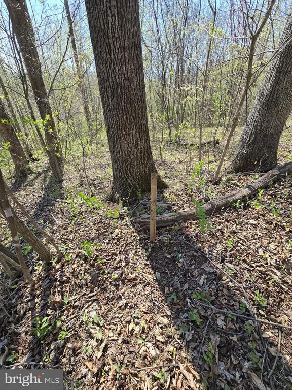 S FT VALLEY RD, MADISON, Virginia 22727, ,Land,S FT VALLEY RD,VAMA2002688 MLS # VAMA2002688