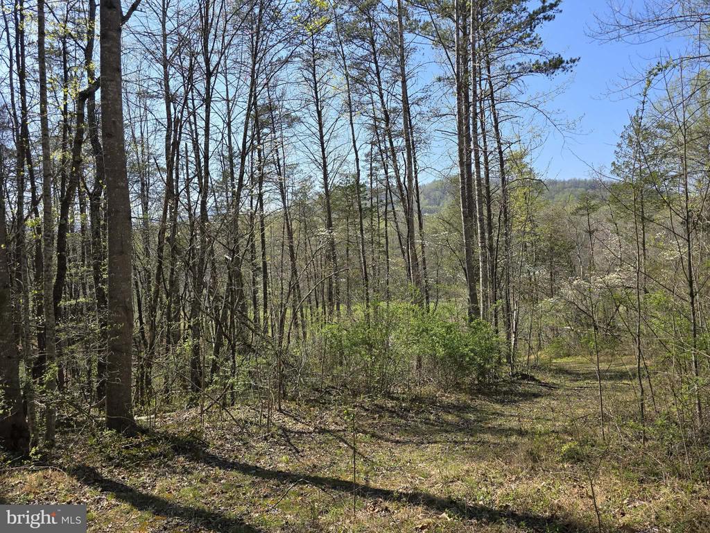 S FT VALLEY RD, MADISON, Virginia 22727, ,Land,S FT VALLEY RD,VAMA2002688 MLS # VAMA2002688