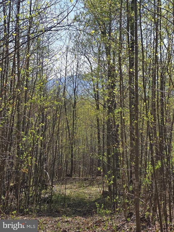 S FT VALLEY RD, MADISON, Virginia 22727, ,Land,S FT VALLEY RD,VAMA2002688 MLS # VAMA2002688