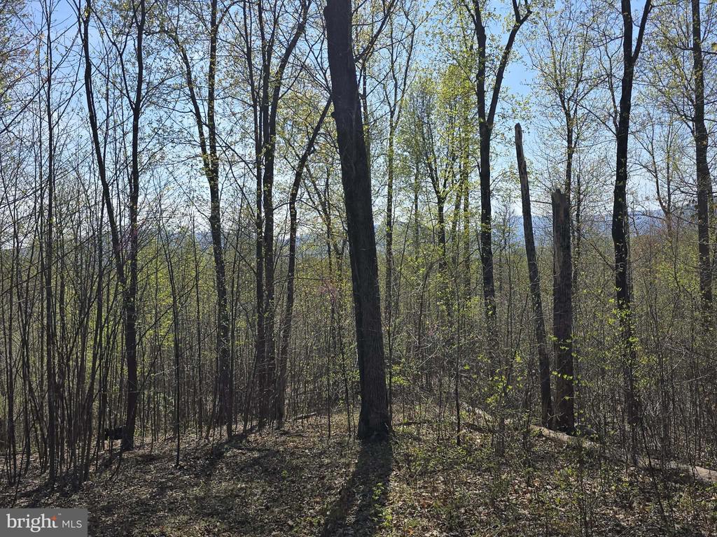 S FT VALLEY RD, MADISON, Virginia 22727, ,Land,S FT VALLEY RD,VAMA2002688 MLS # VAMA2002688