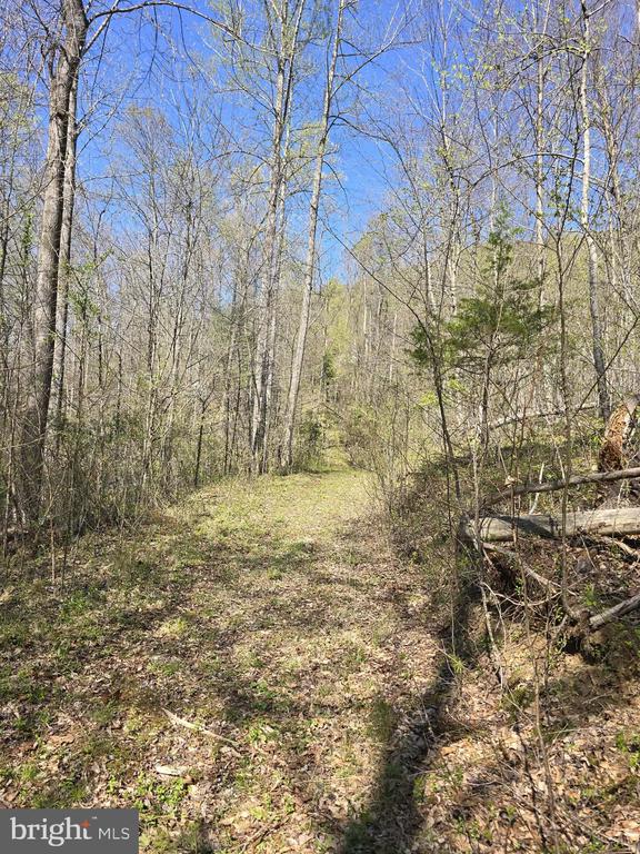 S FT VALLEY RD, MADISON, Virginia 22727, ,Land,S FT VALLEY RD,VAMA2002688 MLS # VAMA2002688