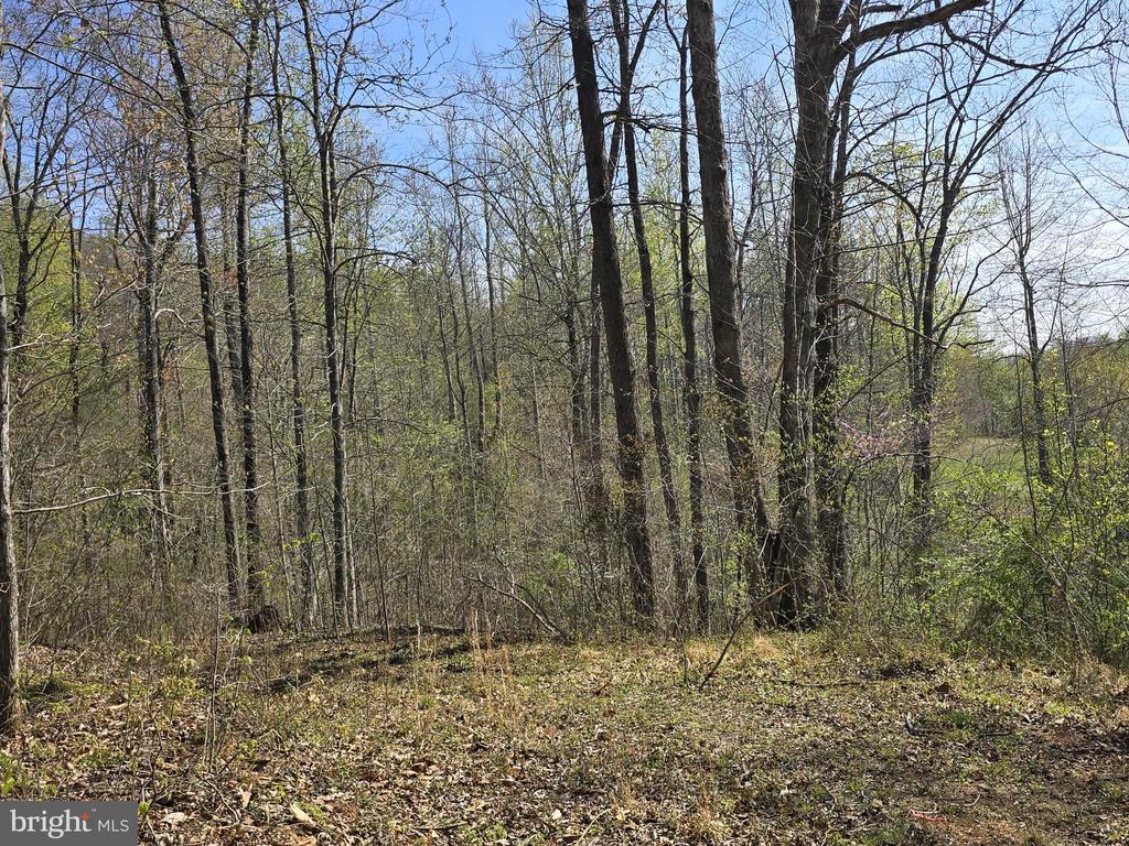 S FT VALLEY RD, MADISON, Virginia 22727, ,Land,S FT VALLEY RD,VAMA2002688 MLS # VAMA2002688