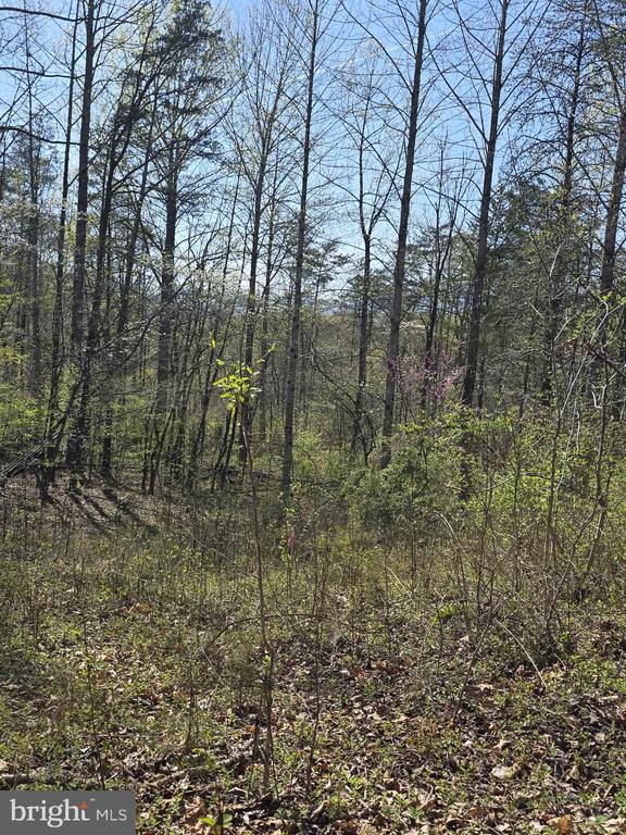 S FT VALLEY RD, MADISON, Virginia 22727, ,Land,S FT VALLEY RD,VAMA2002688 MLS # VAMA2002688