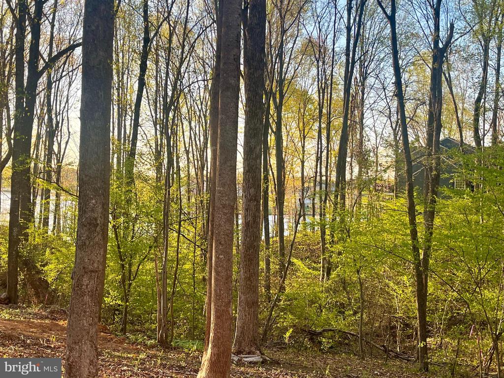 6302 BELMONT RD, MINERAL, Virginia 23117, ,Land,6302 BELMONT RD,VASP2040814 MLS # VASP2040814