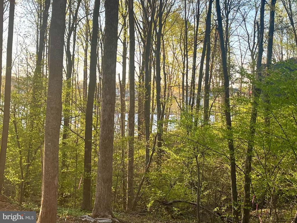 6302 BELMONT RD, MINERAL, Virginia 23117, ,Land,6302 BELMONT RD,VASP2040814 MLS # VASP2040814