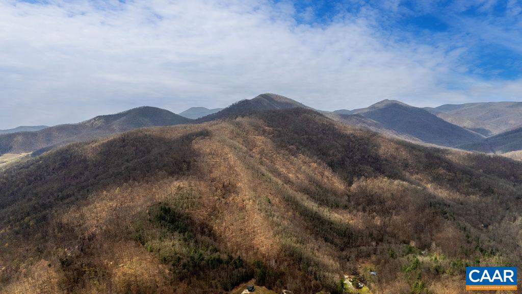 TBD JACKS HILL RD, ROSELAND, Virginia 22967, ,Land,TBD JACKS HILL RD,675605 MLS # 675605