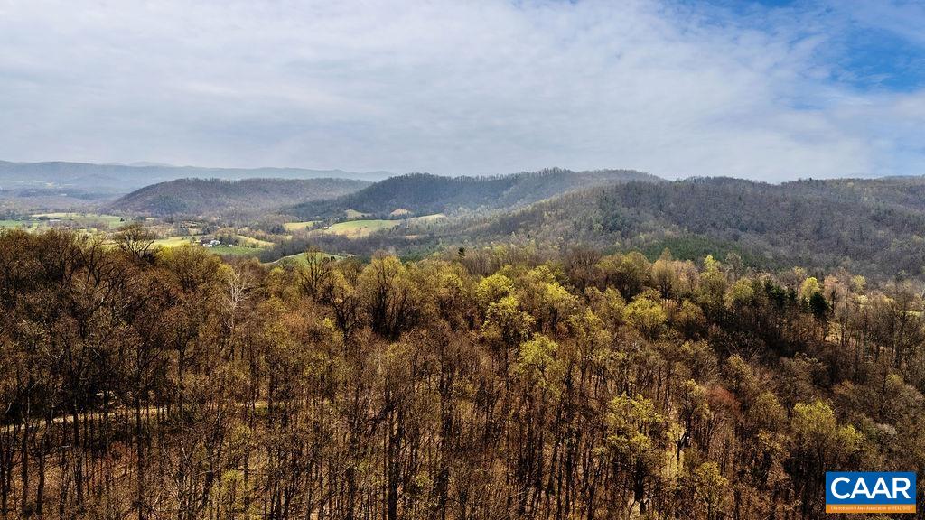 TBD JACKS HILL RD, ROSELAND, Virginia 22967, ,Land,TBD JACKS HILL RD,675605 MLS # 675605