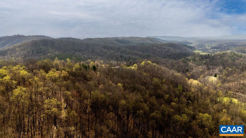 TBD JACKS HILL RD, ROSELAND, Virginia 22967, ,Land,TBD JACKS HILL RD,675605 MLS # 675605