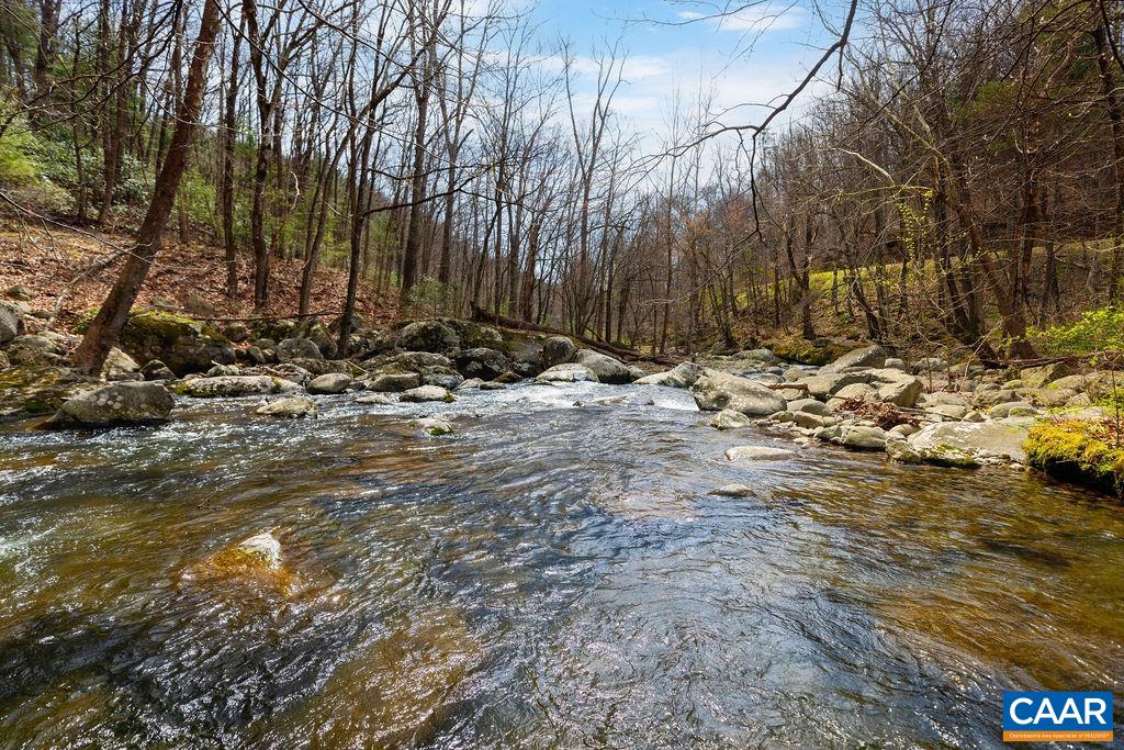 TBD JACKS HILL RD, ROSELAND, Virginia 22967, ,Land,TBD JACKS HILL RD,675605 MLS # 675605