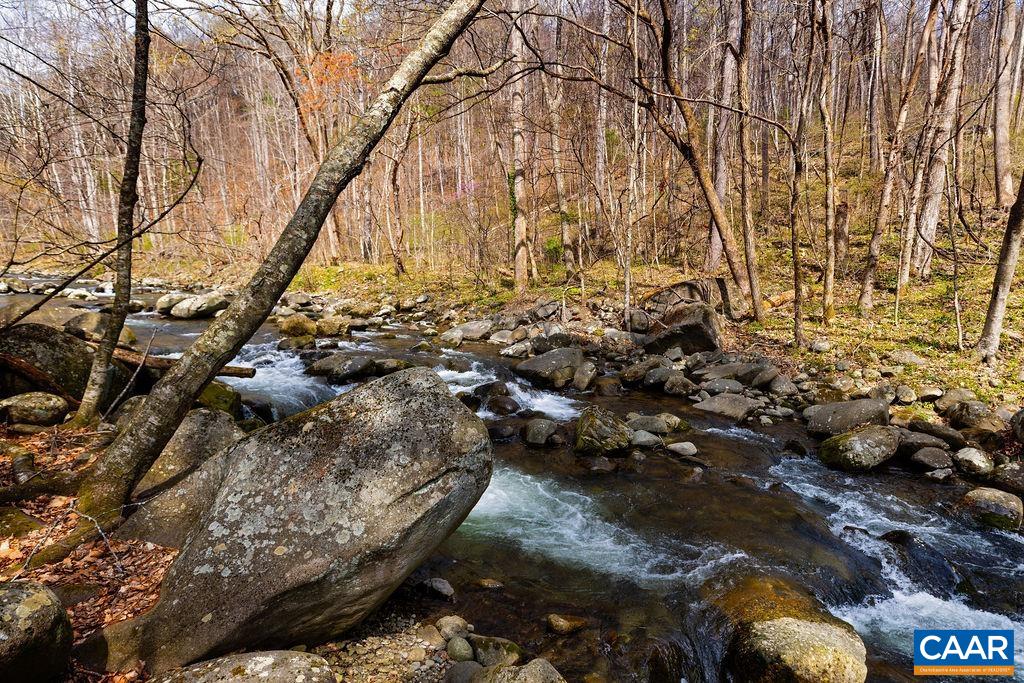 TBD JACKS HILL RD, ROSELAND, Virginia 22967, ,Land,TBD JACKS HILL RD,675605 MLS # 675605