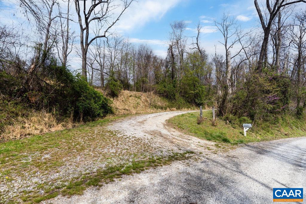 TBD JACKS HILL RD, ROSELAND, Virginia 22967, ,Land,TBD JACKS HILL RD,675605 MLS # 675605