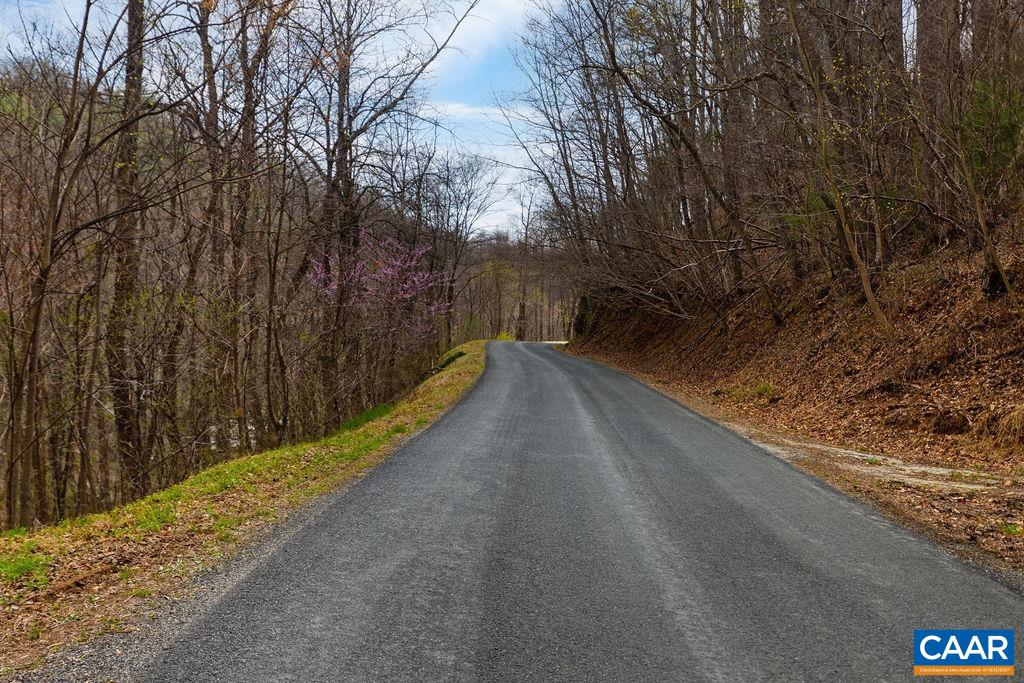 TBD JACKS HILL RD, ROSELAND, Virginia 22967, ,Land,TBD JACKS HILL RD,675605 MLS # 675605