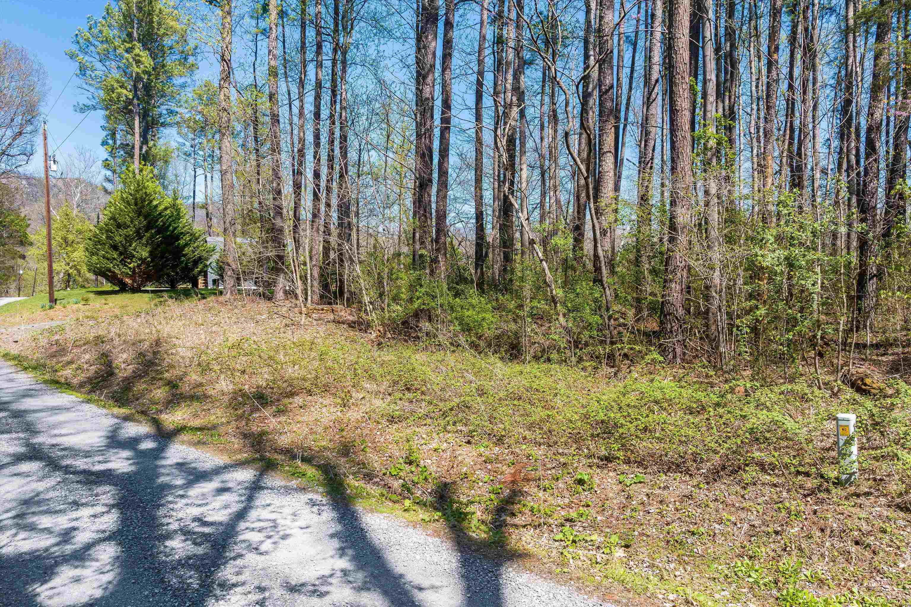 TBD SHIPYARD RD, SHENANDOAH, Virginia 22849, ,Land,TBD SHIPYARD RD,675610 MLS # 675610