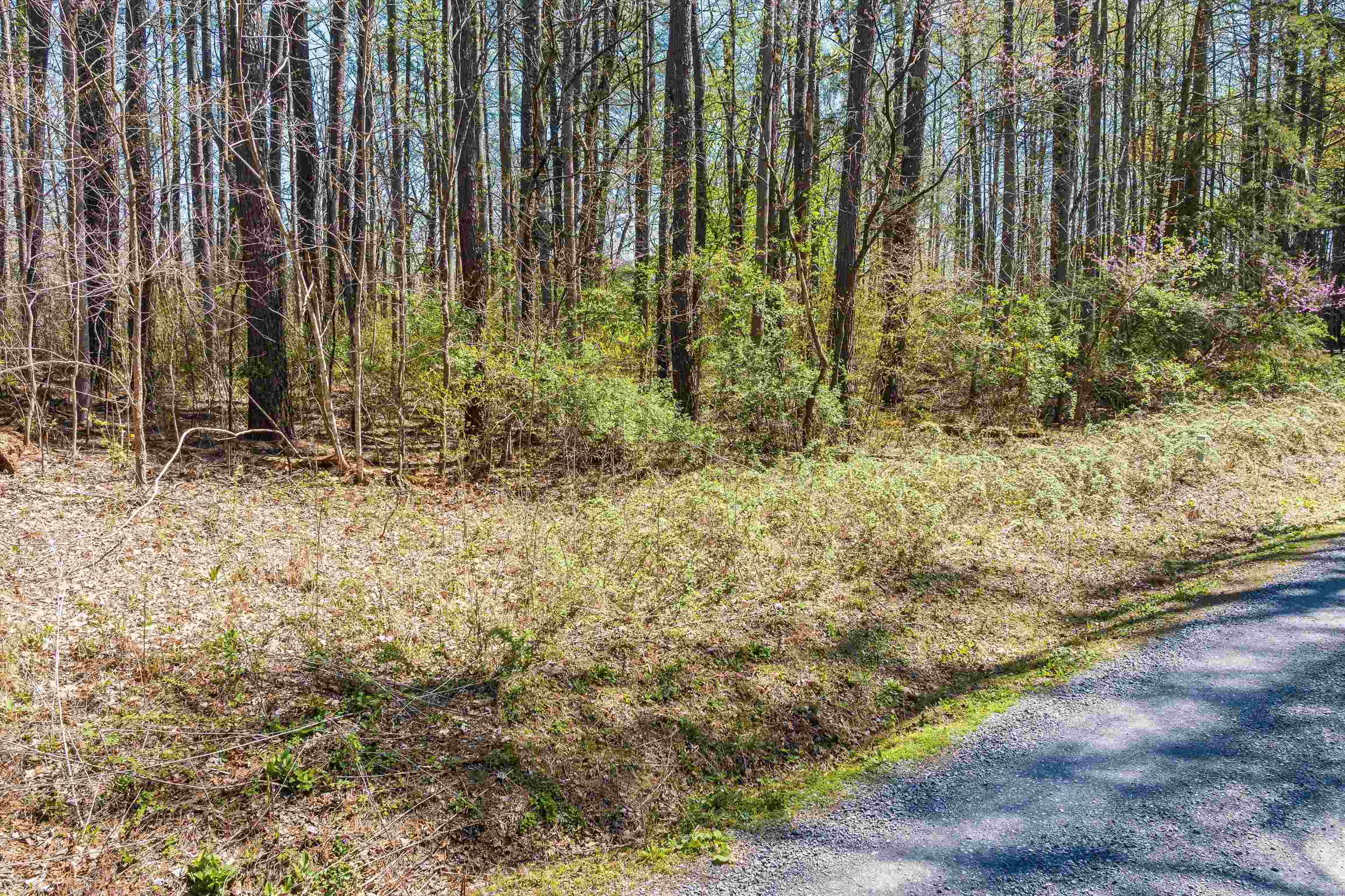 TBD SHIPYARD RD, SHENANDOAH, Virginia 22849, ,Land,TBD SHIPYARD RD,675610 MLS # 675610