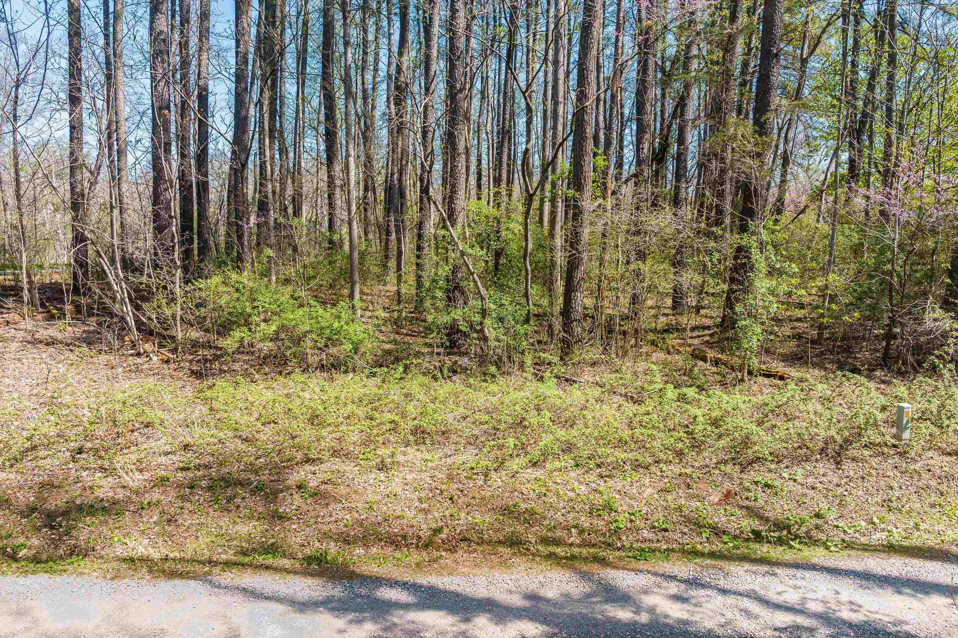 TBD SHIPYARD RD, SHENANDOAH, Virginia 22849, ,Land,TBD SHIPYARD RD,675610 MLS # 675610