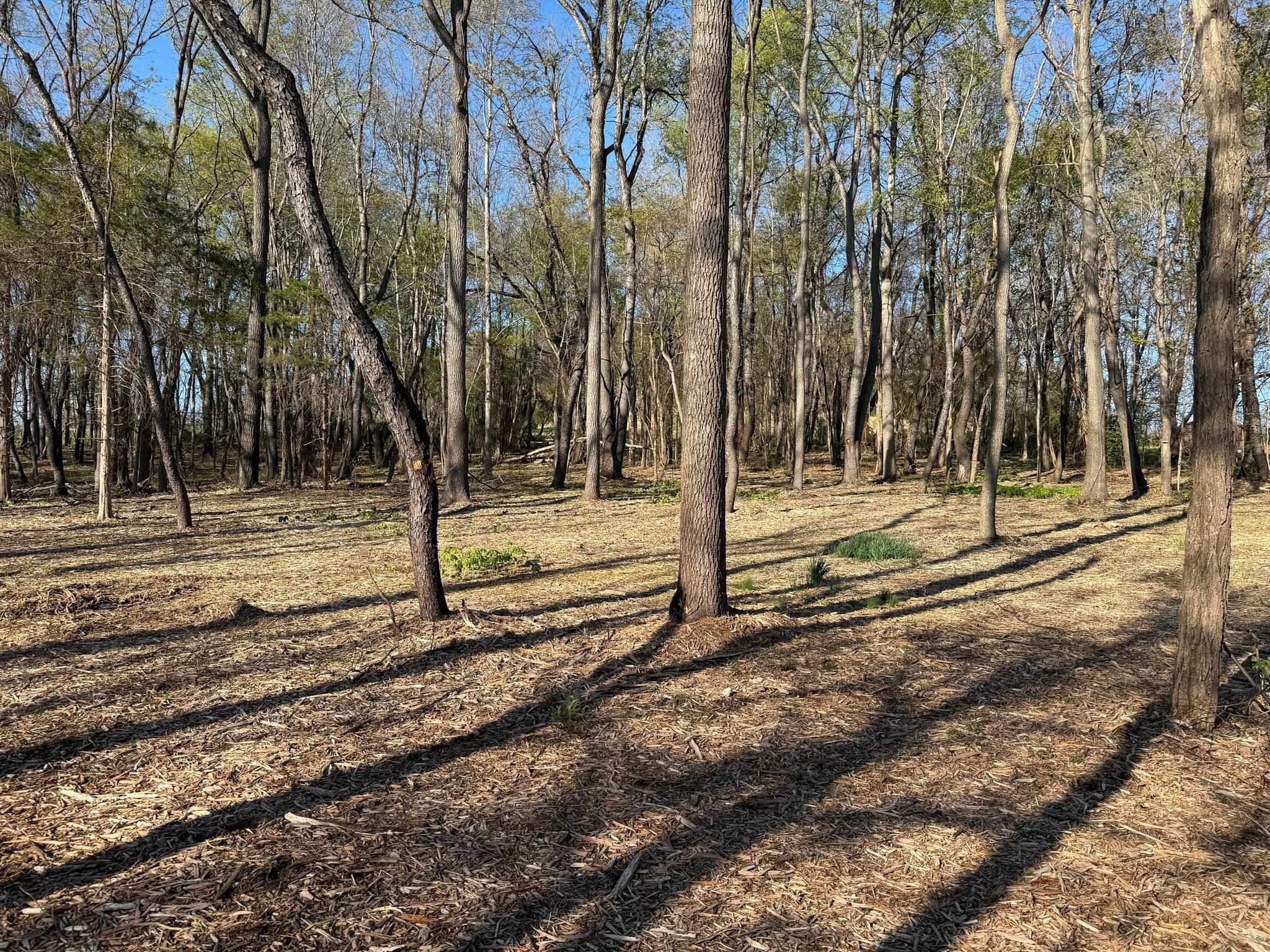 TBD BROADHEAD SCHOOL RD, GREENVILLE, Virginia 24440, ,Land,TBD BROADHEAD SCHOOL RD,675617 MLS # 675617