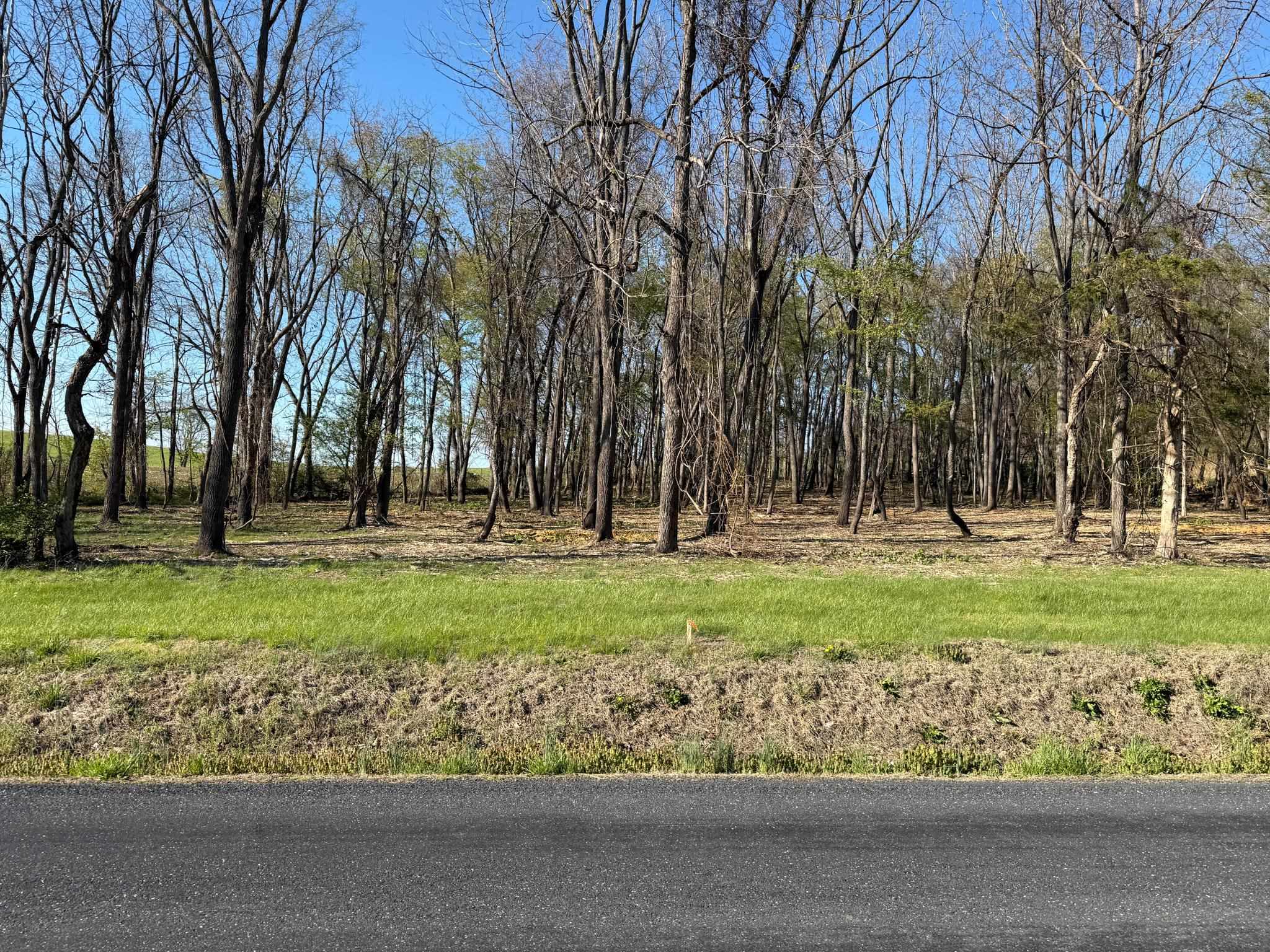 TBD BROADHEAD SCHOOL RD, GREENVILLE, Virginia 24440, ,Land,TBD BROADHEAD SCHOOL RD,675617 MLS # 675617