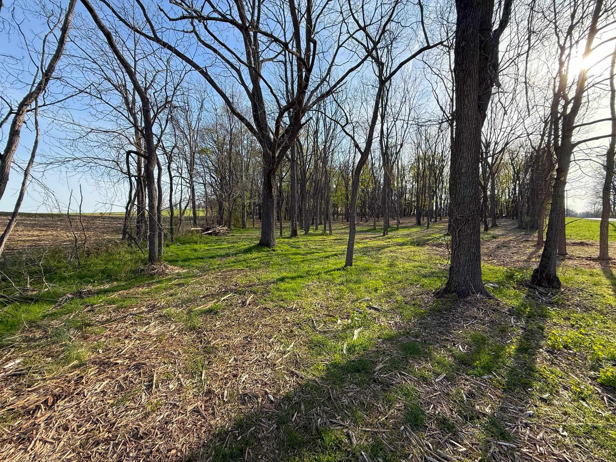 TBD BROADHEAD SCHOOL RD, GREENVILLE, Virginia 24440, ,Land,TBD BROADHEAD SCHOOL RD,675617 MLS # 675617