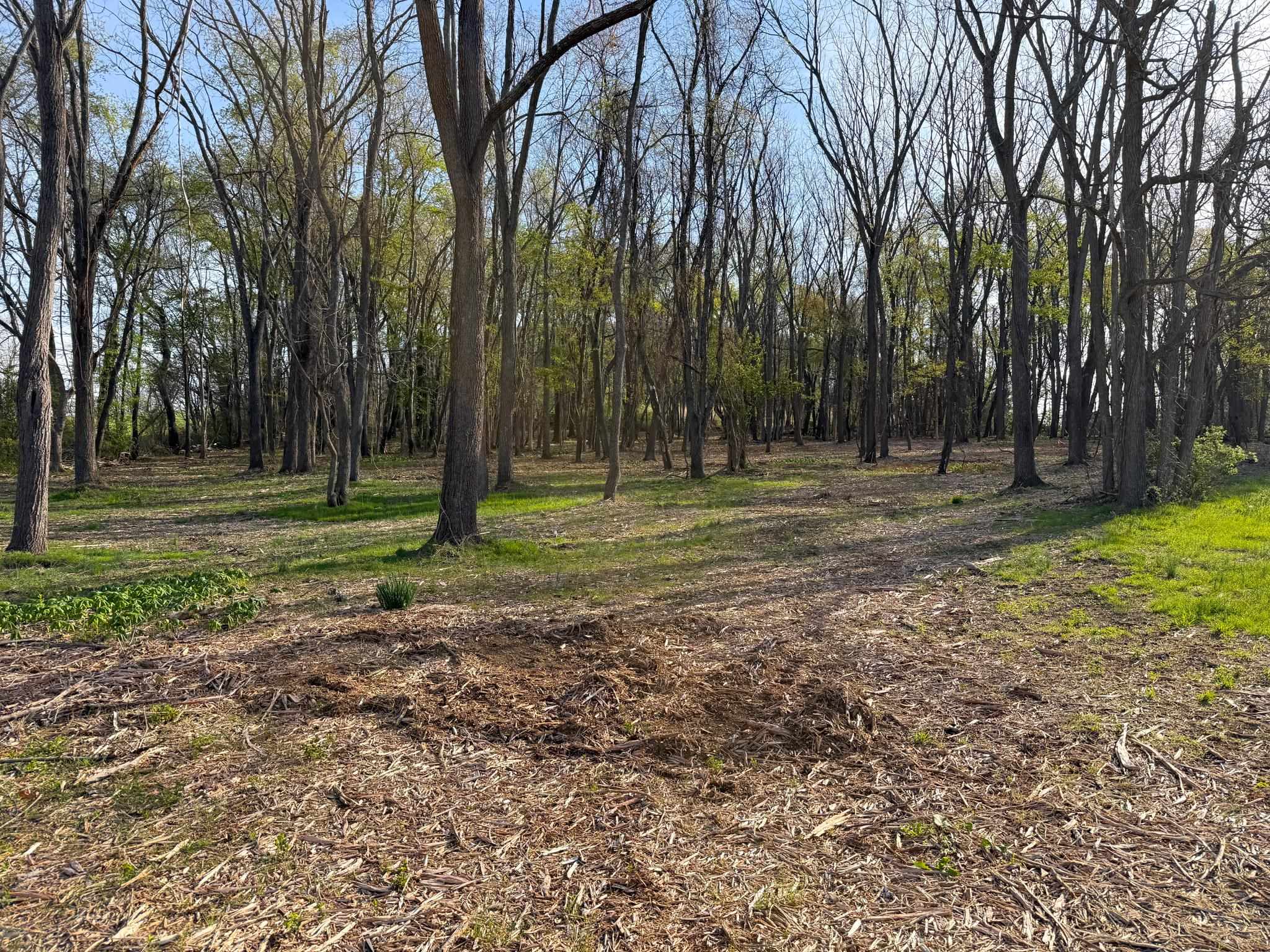 TBD BROADHEAD SCHOOL RD, GREENVILLE, Virginia 24440, ,Land,TBD BROADHEAD SCHOOL RD,675617 MLS # 675617