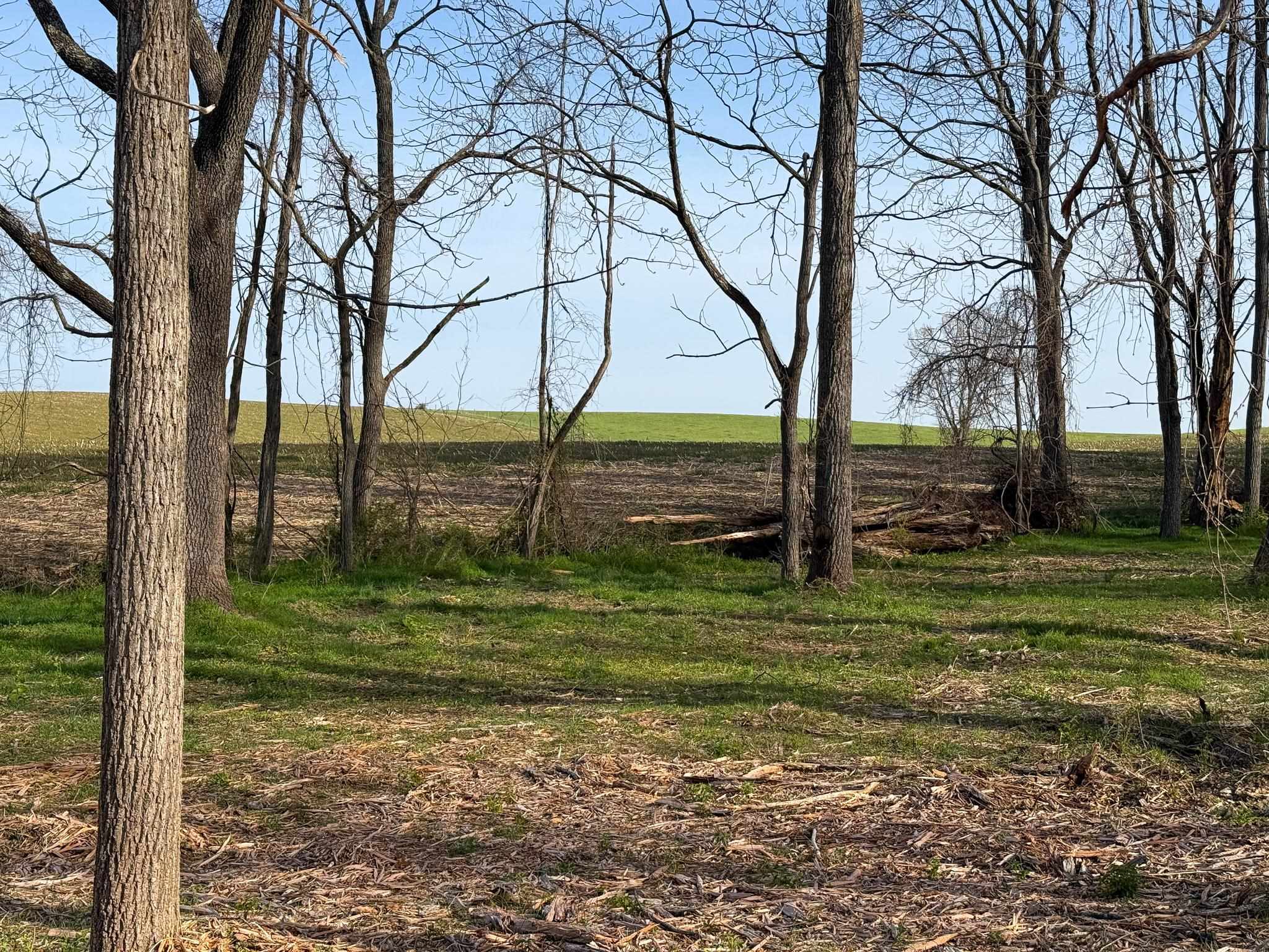 TBD BROADHEAD SCHOOL RD, GREENVILLE, Virginia 24440, ,Land,TBD BROADHEAD SCHOOL RD,675617 MLS # 675617