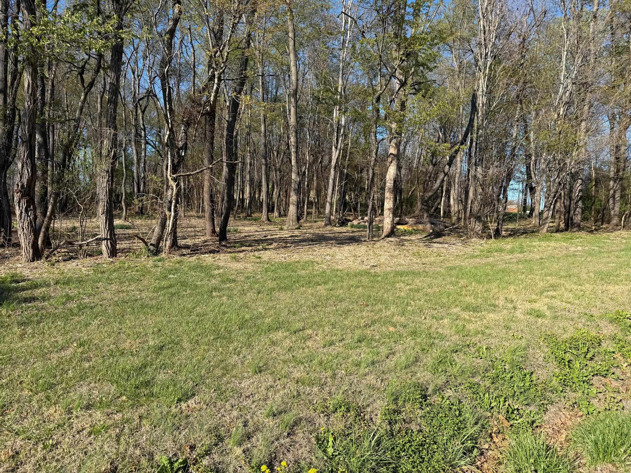 TBD BROADHEAD SCHOOL RD, GREENVILLE, Virginia 24440, ,Land,TBD BROADHEAD SCHOOL RD,675617 MLS # 675617