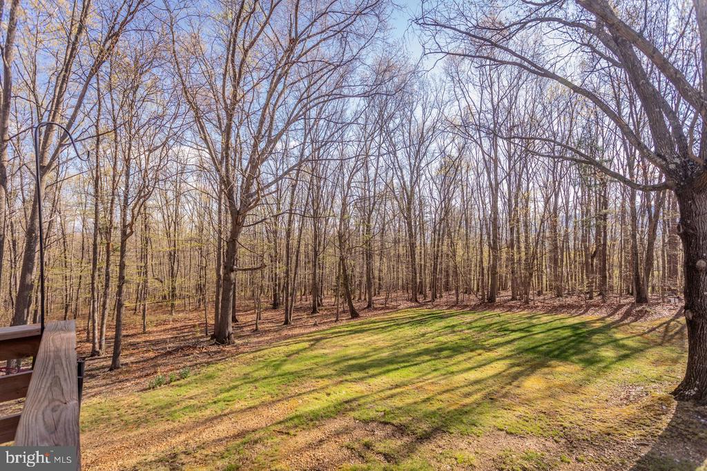 160 GALE LN, STANLEY, Virginia 22851, 2 Bedrooms Bedrooms, ,2 BathroomsBathrooms,Residential,160 GALE LN,VAPA2006282 MLS # VAPA2006282 160 GALE LN, STANLEY, Virginia 22851, 2 Bedrooms Bedrooms, ,2 BathroomsBathrooms,Residential,160 GALE LN,VAPA2006282 MLS # VAPA2006282