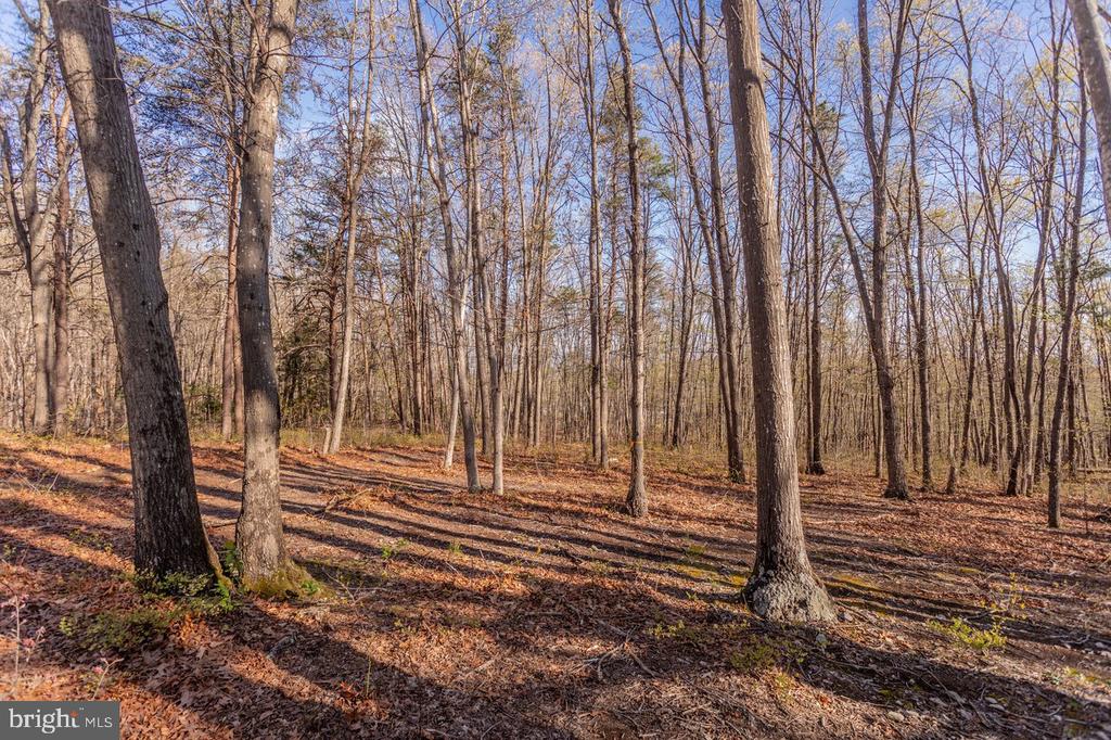 160 GALE LN, STANLEY, Virginia 22851, 2 Bedrooms Bedrooms, ,2 BathroomsBathrooms,Residential,160 GALE LN,VAPA2006282 MLS # VAPA2006282 160 GALE LN, STANLEY, Virginia 22851, 2 Bedrooms Bedrooms, ,2 BathroomsBathrooms,Residential,160 GALE LN,VAPA2006282 MLS # VAPA2006282